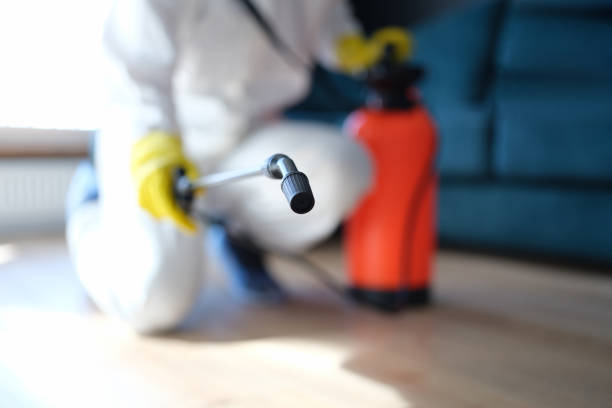 Biohazard Mold Removal in Bohemia, NY